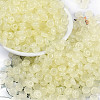 Transparent Colours Glass Seed Beads X1-SEED-P008-01B-10-1