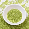 MIYUKI Delica Beads Small SEED-X0054-DBS0147-2