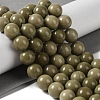 Natural Alashan Agate Beads Strands G-P530-B05-04-2