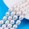 Natural Cultured Freshwater Pearl Beads Strands X-PEAR-N012-09B-5