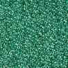 TOHO 11/0 Round Beads X-SEED-TR11-0343-2