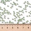 TOHO Round Seed Beads SEED-XTR08-PF0560-3
