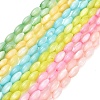 Natural Freshwater Shell Beads Strands SHEL-C010-01-1
