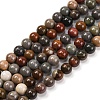 Natural Picture Jasper Beads Strands G-H037-A01-01-1