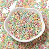 Baking Paint Glass Seed Beads SEED-P006-03A-16-2