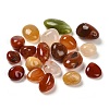 Natural Agate Dyed Nuggets Beads G-E600-01C-1