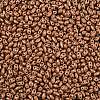 Baking Paint Glass Seed Beads SEED-T006-03U-2