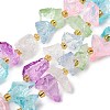 Raw Rough Natural Quartz Crystal Beads Strands G-Z131-J01-06-2
