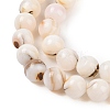 Natural Freshwater Shell Beads Strands SHEL-T011-02-8mm-3