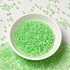 12/0 Transparent Glass Seed Beads SEED-F003-03C-13-2