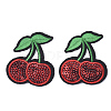 Computerized Embroidery Cloth Iron On Patches X-FIND-T030-116-1