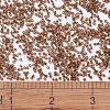 MIYUKI Delica Beads X-SEED-J020-DB1891-4