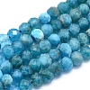 Natural Apatite Beads Strands G-O172-04C-1