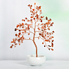 Undyed Natural Carnelian Chips Tree of Life Display Decorations TREE-PW0001-23D-1
