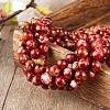 2 Strands 2 Colors Natural Imitation South Red Agate & Rainforest Agate Beads Strands G-SZ0001-46-3