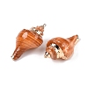 Natural Conch Shell Big Pendants SSHEL-N038-24C-2