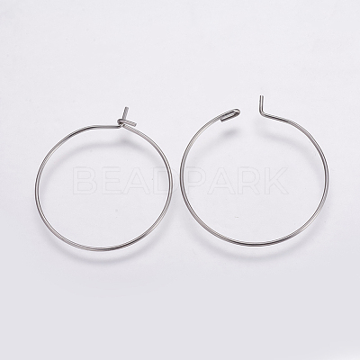 316 Surgical Stainless Steel Hoop Earrings Findings X-STAS-K146-039-25mm-1