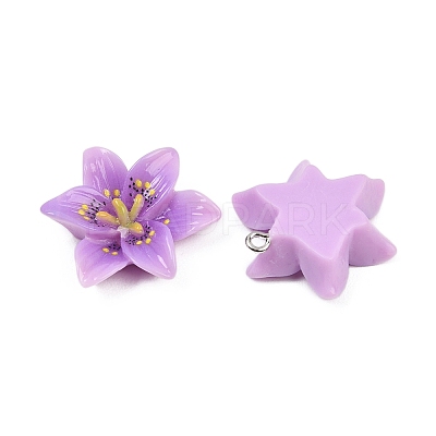Opaque Resin Pendants CRES-D328-04-1