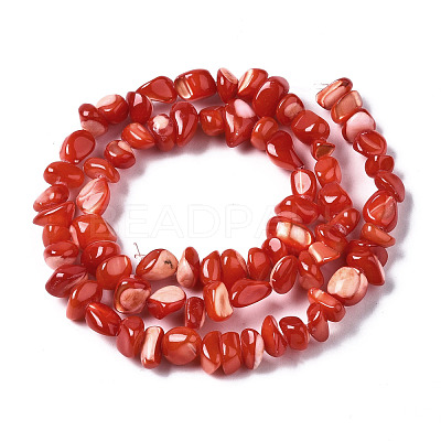 Natural Trochid Shell/Trochus Shell Bead Strands SSHEL-N034-78-C04-1