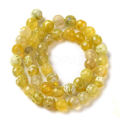 Dyed & Heated Natural Fire Crackle Agate Beads Strands G-P539-B01-18-1