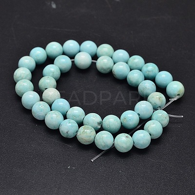 Natural Howlite Beads Strands TURQ-P027-17-8mm-1