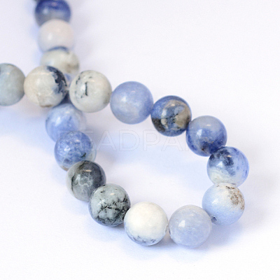 Natural Sodalite Round Bead Strands G-E334-8mm-08-1