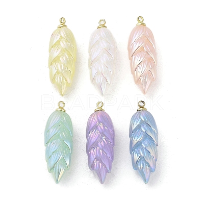 Opaque Acrylic Pendants MACR-C029-09-1