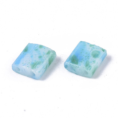 2-Hole Glass Seed Beads SEED-S023-42C-02-1