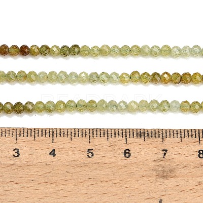 Natural Green Garnet Beads Strands GG-CBA77FB-B11-3mm-1
