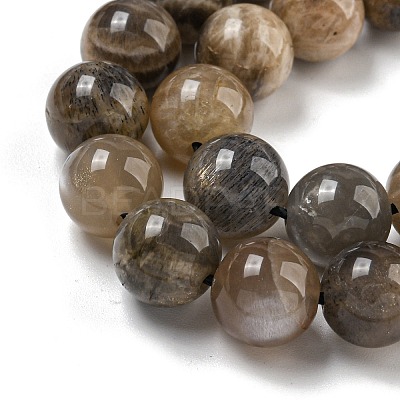 Natural Black Moonstone Beads Strands G-Q183-A01-02-1