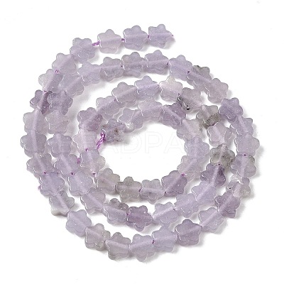 Natural Lepidolite/Purple Mica Stone Beads Strands G-B138-C18-01-1