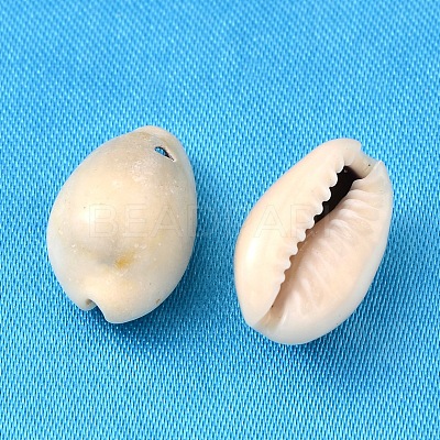 Natural Cowrie Shell Pendants BSHE-S049-1