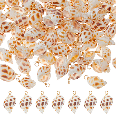 70Pcs Copper Wire Wrapped Natural Spiral Shell Pendants PALLOY-FH00100-1