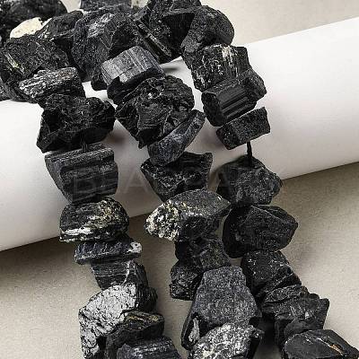 Natural Black Tourmaline Beads Strands G-I283-F12-1