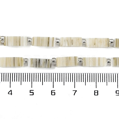 Handmade Lampwork Beads Strands LAMP-Q037-01B-06-1