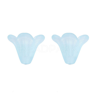 Frosted Acrylic Beads PL692-10-1
