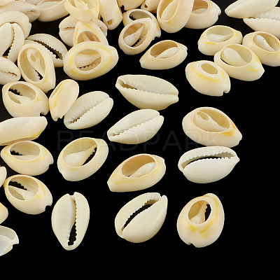 Natural Mixed Cowrie Shell Beads BSHE-S052-01-1