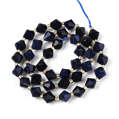 Natural Lapis Lazuli Beads Strands G-T144-23A-02-1