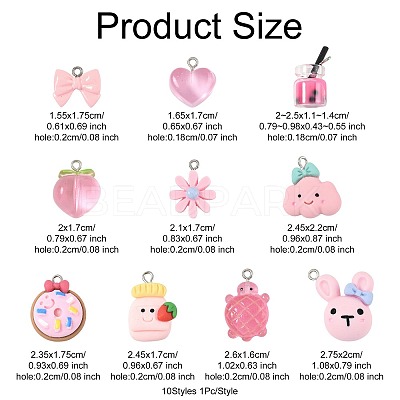 10Pcs 10 Styles Resin Pendants Sets RESI-FS0002-23-1