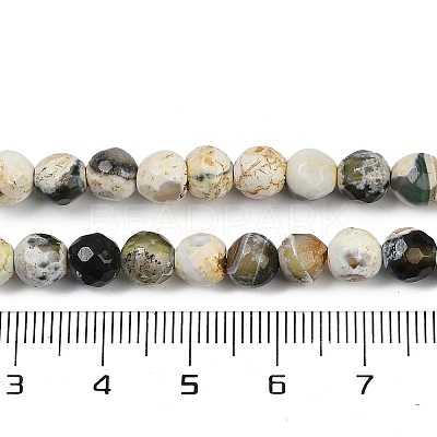Natural Fire Crackle Agate Beads Strands G-C082-A01-49-1