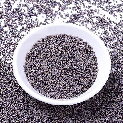 MIYUKI Delica Beads SEED-MY11-DB1067-1