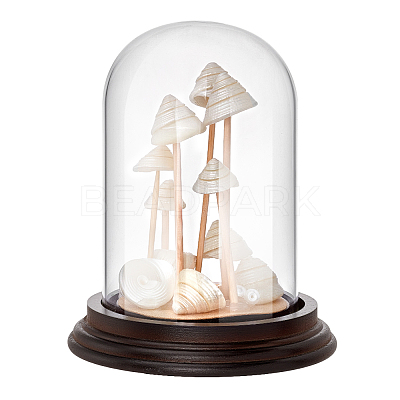Glass Dome Cover ODIS-WH0079-021B-1