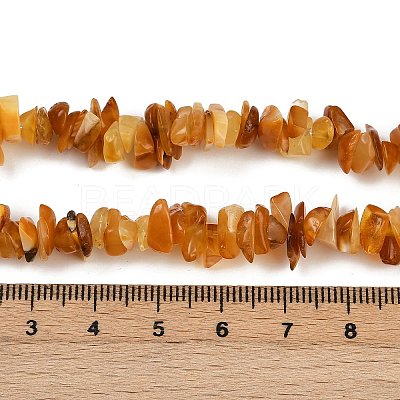 Natural Amber Beads Beads Strands G-Q060-C05-1