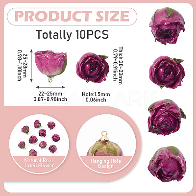 10Pcs Preserved Rose Pendants KY-TA0001-59B-1