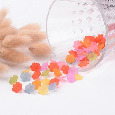 Mixed Color Transparent Frosted Acrylic Flower Bead Caps X-PL561M-1