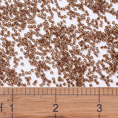 MIYUKI Delica Beads X-SEED-J020-DB1891-1