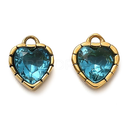 304 Stainless Steel Pendants STAS-H438-15G-05-1