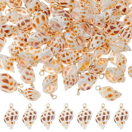 70Pcs Copper Wire Wrapped Natural Spiral Shell Pendants PALLOY-FH00100-1