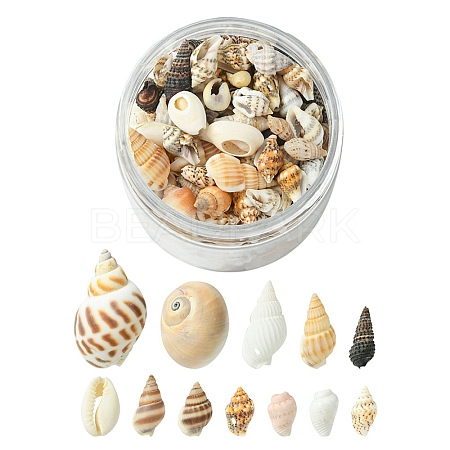 12 Styles Natural Mixed Shell Beads SSHEL-YW0001-05-1
