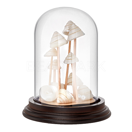 Glass Dome Cover ODIS-WH0079-021B-1